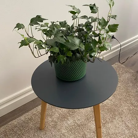 Pikk Cozy Daire Pärnu