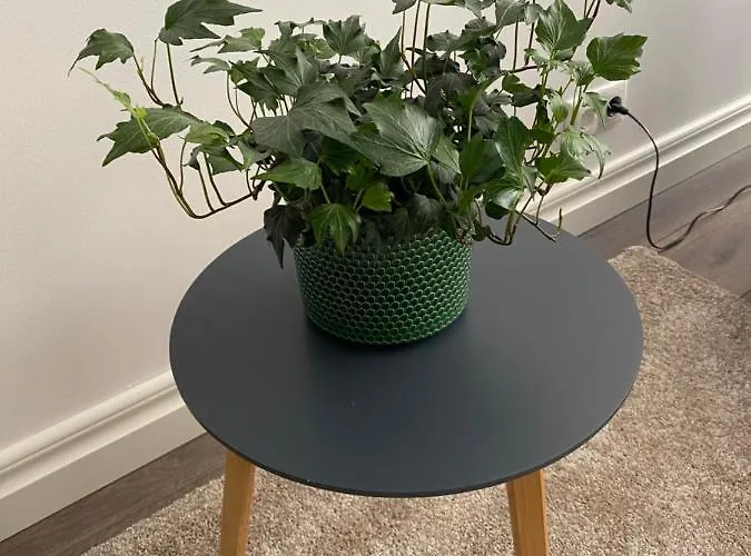 Pikk Cozy Apartmán Pärnu